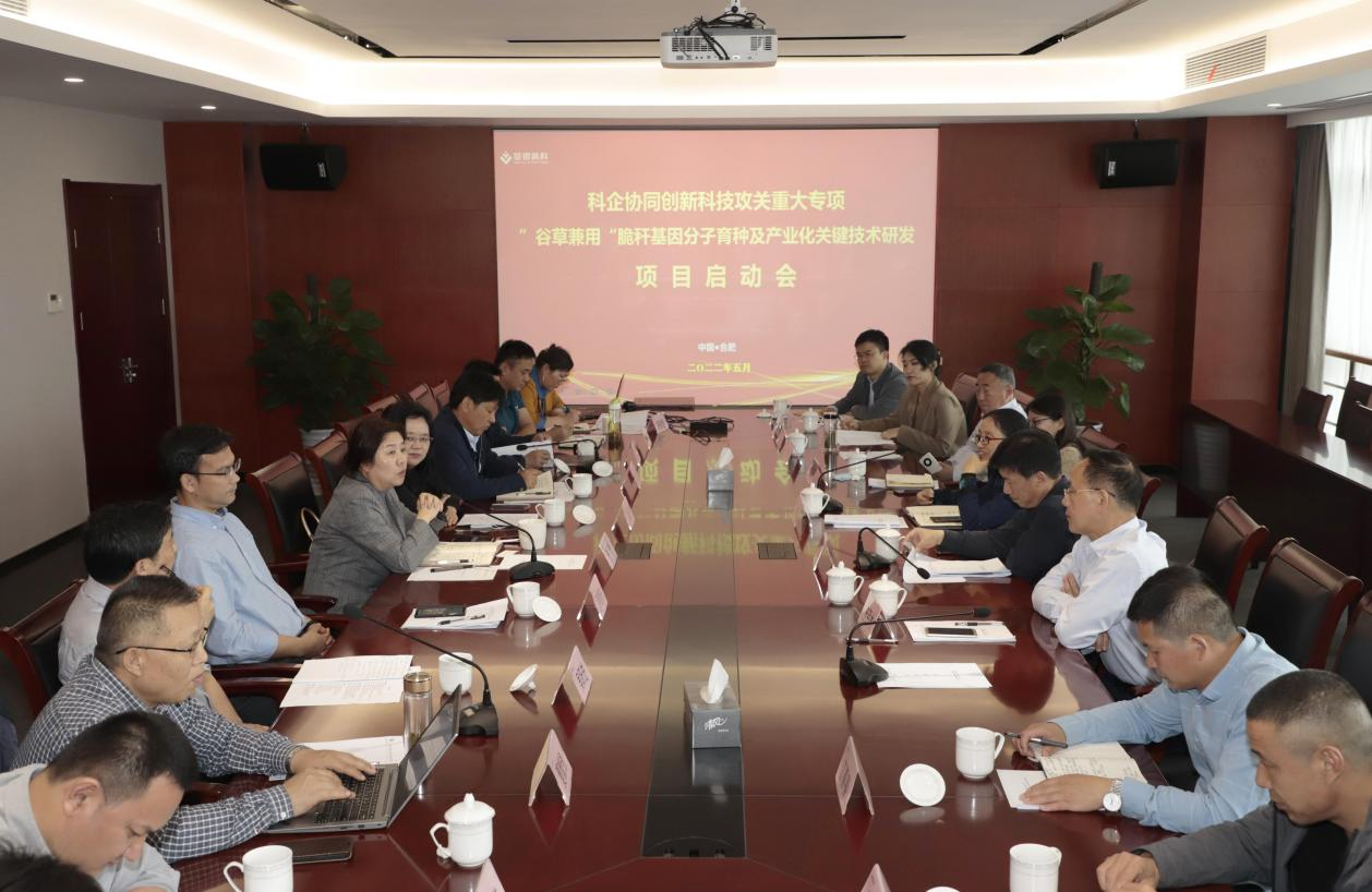 央媒密集聚焦的背后,凯发k8给出了方案5.png